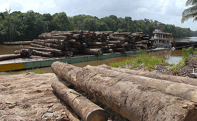 Proyectos defendidos por el gobierno golpista de Michel Temer (PMDB) amenazarán más aun el medio ambiente, dice agricultora