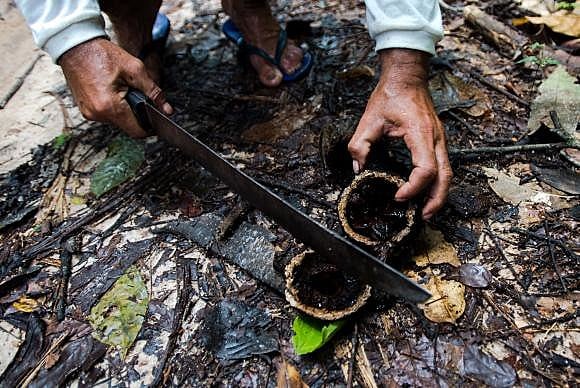 A importância dos povos tradicionais para a preservação da biodiversidade é uma das bandeiras defendidas por especialistas