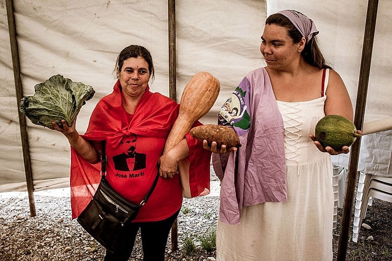 Produtores agroecológicos de diferentes regiões do Paraná levaram o resultado do seu trabalho para a 16ª Jornada de Agroecologia
