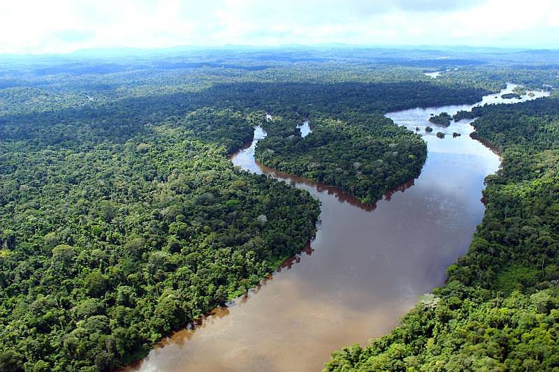 MPF cobra mais de R$ 5 bilhões em indenizações por desmatamento ilegal na Amazônia