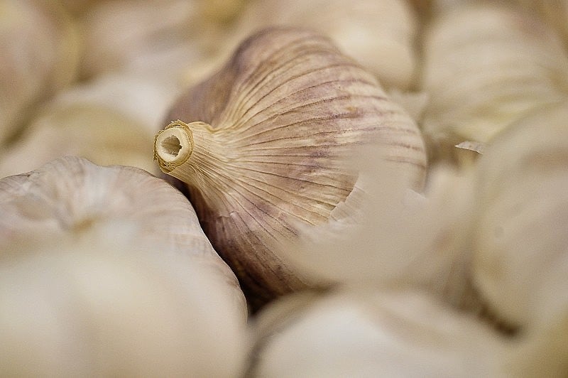 Além do alho, ovo, peixes e carnes também podem influenciar no odor exalado pelo nosso corpo