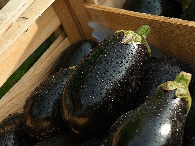 A berinjela é rica em proteínas, vitaminas (A, B1, B2, B5, C) e minerais (cálcio, fósforo, ferro, potássio, magnésio).