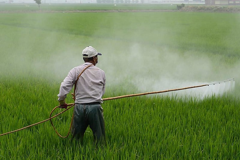 Segundo estudo, um em cada cem alimentos pode causar sintomas de intoxicação em menos de um dia