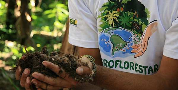 O Sistema Participativo de Conformidade Orgânica também garante o selo de produto orgânico