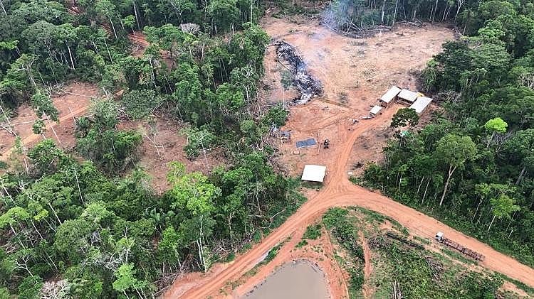 Uma das áreas mapeadas por força-tarefa é no município de Boca do Acre (AM).