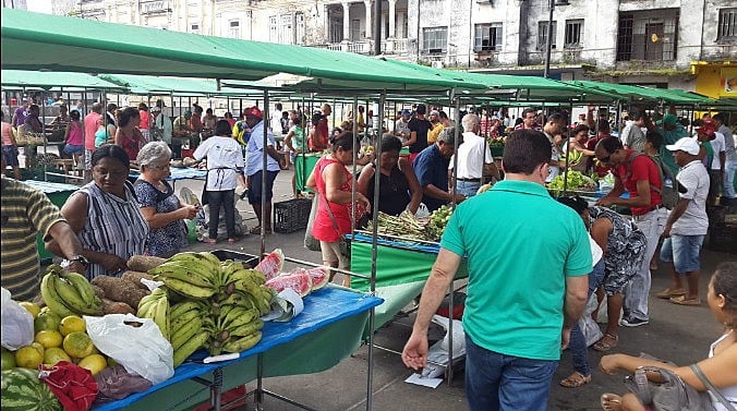 Feira Agroecológica no Ponto de Cem Réis