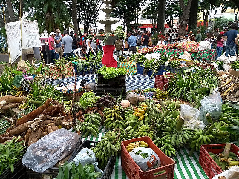 Alimentos produzidos pelos moradores do Quilombo Campo Grande, em Minas Gerais