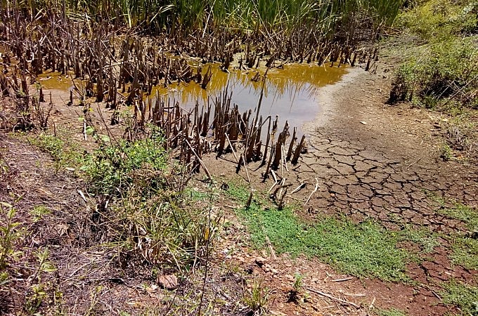 Falta de chuva castiga caomponeses e camponesas em boa parte do estado, sem que se notem ações governamentais em socorro aos pequenos
