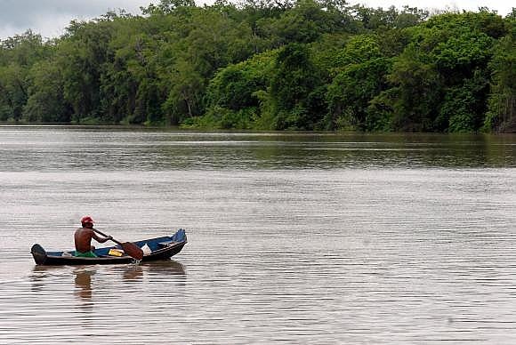 Mesmo com a decisão do governo, o Greenpeace continua sua campanha contra a construção de outras hidrelétricas na Amazônia