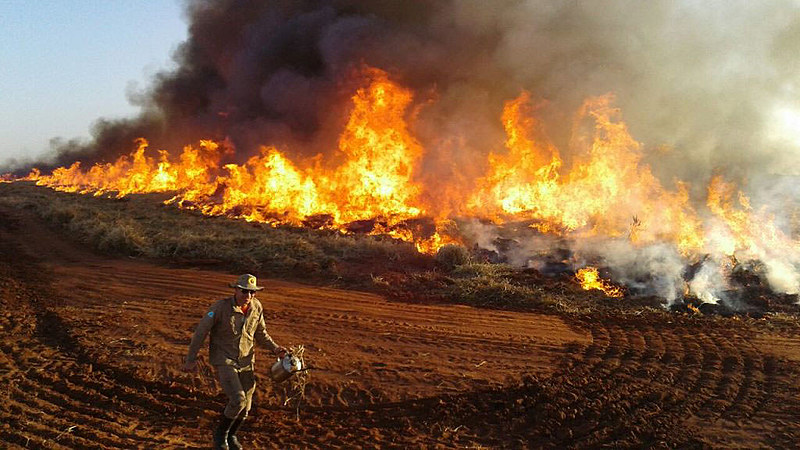 Quantidade de incêndios dobra na área de atuação do 16º Subgrupamento de Bombeiros Militar em Amambai no Mato Grosso do Sul