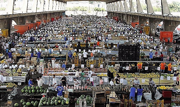 Com mais de 500 variedades de produtos, Ceagesp movimenta R$ 10 bilhões por mês