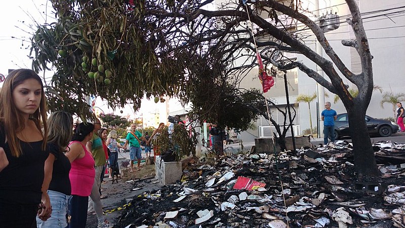 Em um momento da manifestação, um participante retirou as brasas de uma árvore atingida, para que ela também não fosse destruída