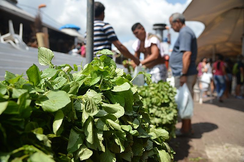 Jambu é uma erva amazônica utilizada em preparos de comidas típicas, como o tacacá, e utilizado também na fabricação de cachaça