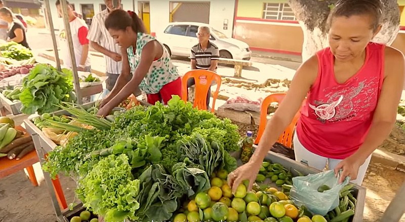 Comunidades comercializam a produção saudável e diversa em feiras agroecológicas