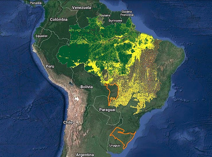 Imagem atualizada da plataforma Terra Brasilis sobre o desmatamento da Amazônia