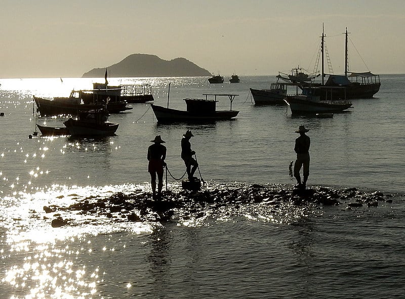 O maior vilão dos pescadores, segundo mostra o relatório, é o agronegócio, considerado o principal causador de conflitos