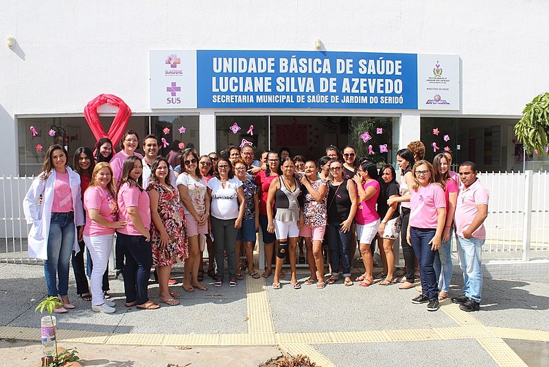 Profissionais podem ser encontrados gratuitamente no SUS, através das Unidades Básicas de Saúde