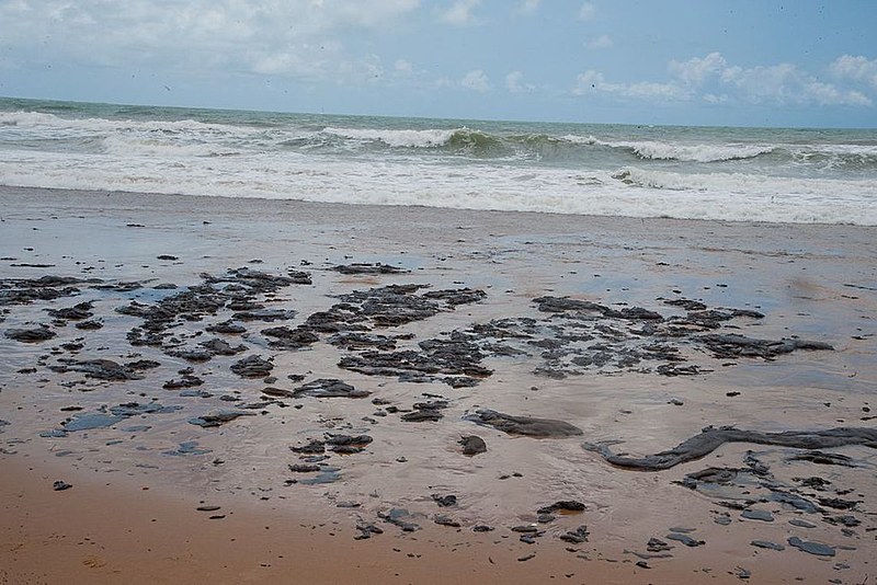 De acordo com oceanógrafo ouvido pelo Brasil de Fato, é impossível que o óleo tenha vindo da Venezuela