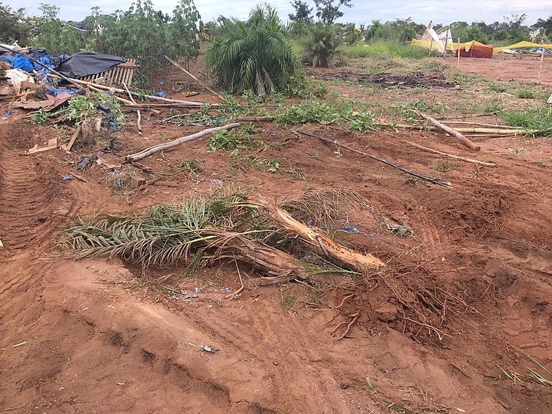 Acampamento Paulo Kageyama, em Mogi Guaçu, recuperou plantas do cerrado e da mata Atlântica, que foram derrubadas pela SIMA