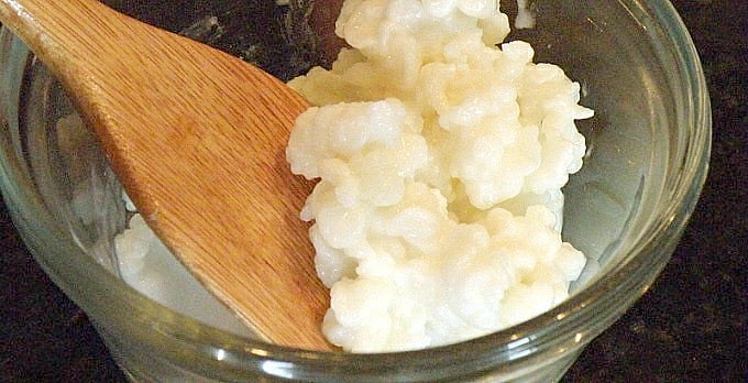 Os grãos de Kefir de leite, bebida probiótica que regula a flora intestinal