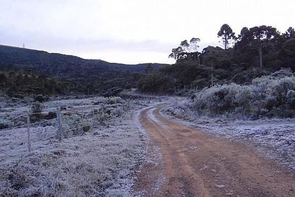 Massa polar provoca geada em várias regiões de Santa Catarina no começo de junho