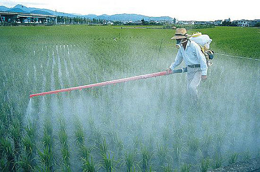 O Brasil é o maior consumidor mundial de substâncias agrotóxicas