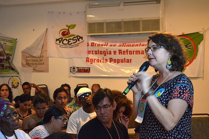"A juventude organizada é fundamental", afirma Elisa durante a entrevista.