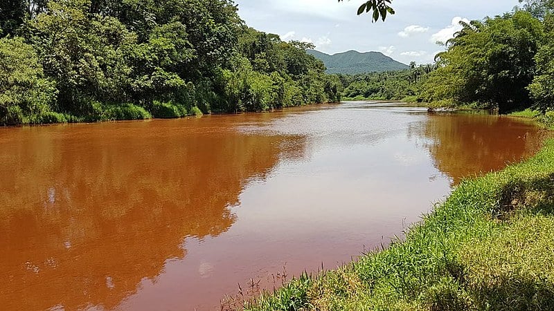 Desde o rompimento da barragem no Córrego do Feijão, de responsabilidade da Vale, o rio Paraopeba foi destruído