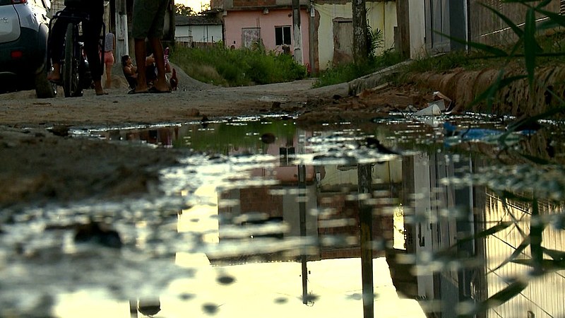 Atualmente, a Organização Mundial da Saúde (OMS) classifica 17 doenças como tropicais negligenciadas