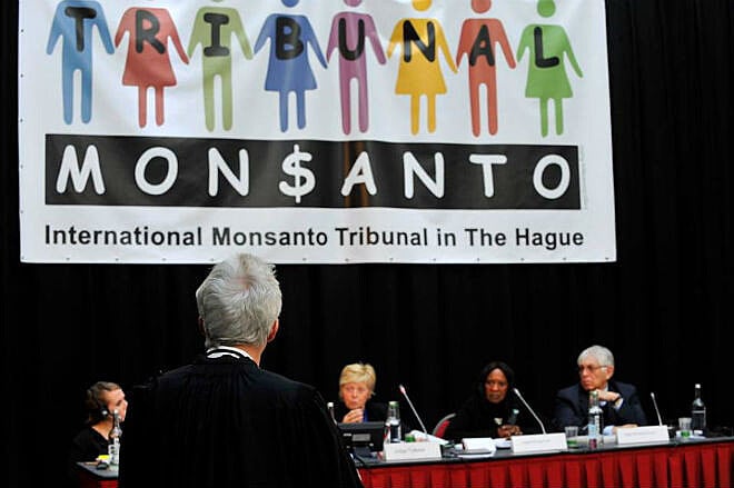 Durante três dias, cinco juízes ouviram 30 depoimentos de pessoas prejudicadas pela Monsanto em tribunal popular realizado em Haia