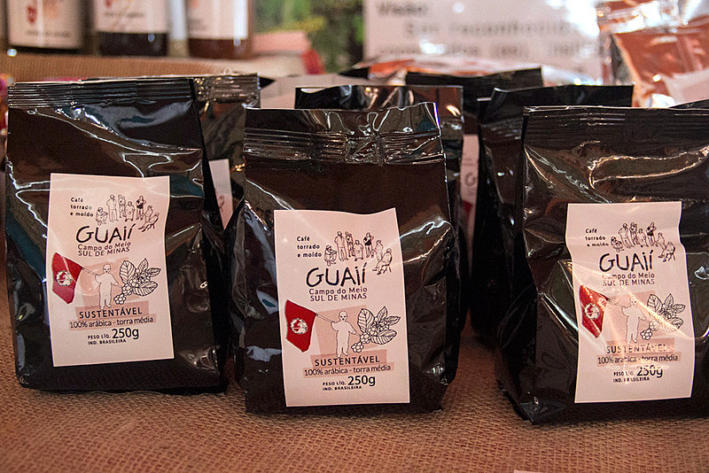 Café é produzido sem agrotóxicos ou sementes transgênicas
