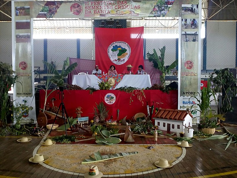 Análise de conjuntura durante o festival das sementes crioulas.