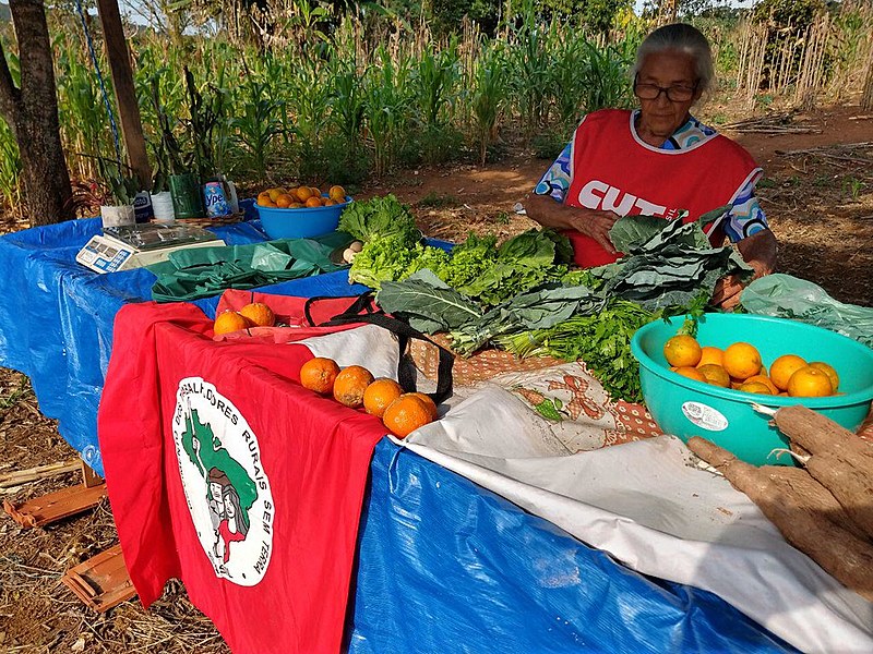 Acampamento fica no bairro Perus e vende alimentos sem agrotóxico através de redes solidárias de consumo