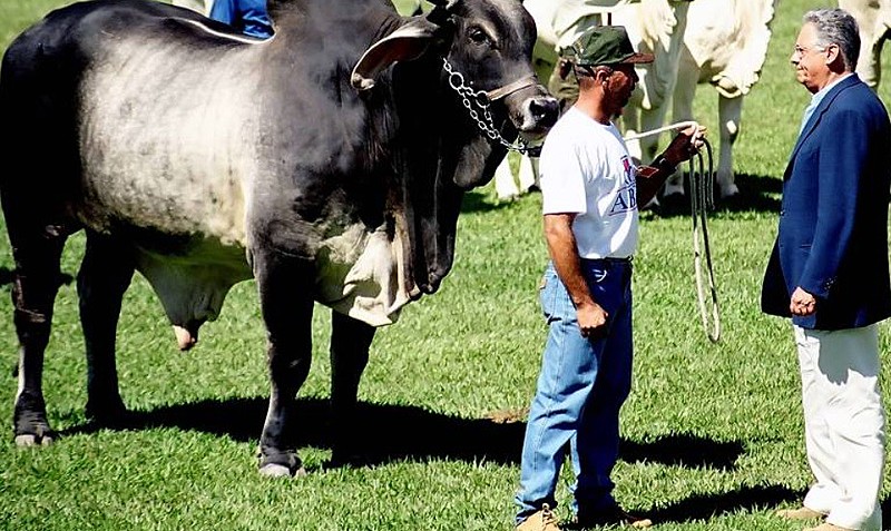 "O Protegido” oferece detalhes de como FHC contou com o apoio de empresários em sua “aventura agrária”