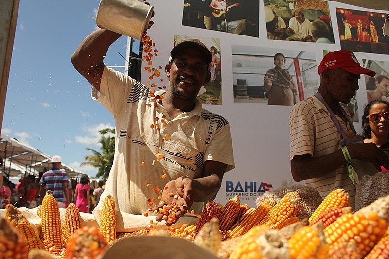 V Jornada de Agroecologia em Porto Seguro -BA