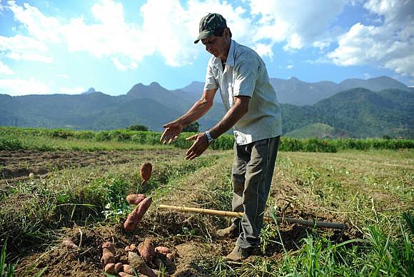 Cortes também afetarão o Programa de Aquisição de Alimentos, o PAA