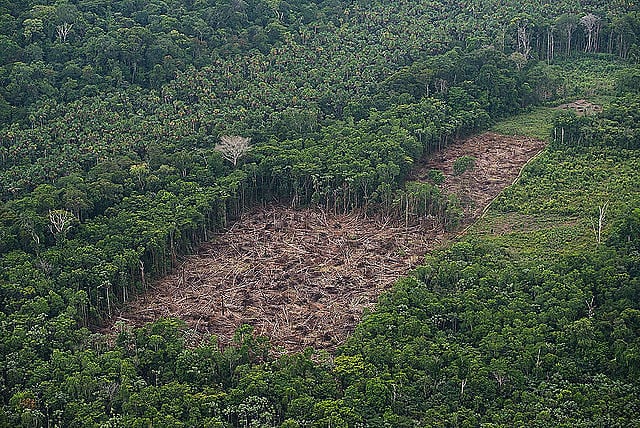 INPE mostró que la Amazonía perdió 762,3 km² en el mes de junio, lo que representa un aumento de 60% sobre el mismo período de 2018