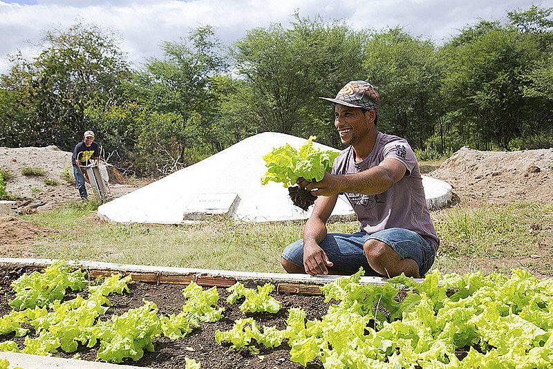 "Hoje a agricultura camponesa produz 70% de toda a alimentação humana do planeta"