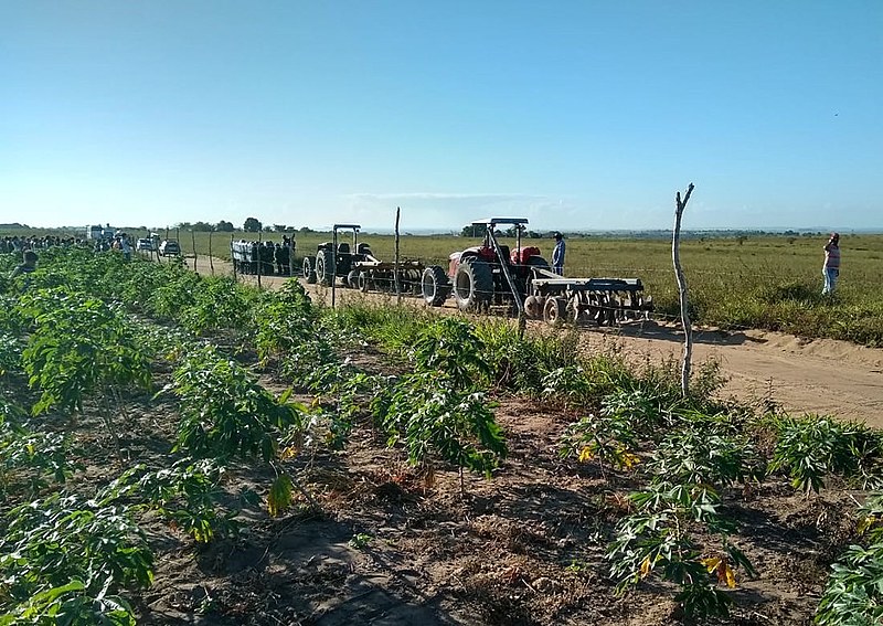 Após repressão com gás de pimenta, bala de borracha, bomba de gás e ameças, a destruição das louvares teve início.