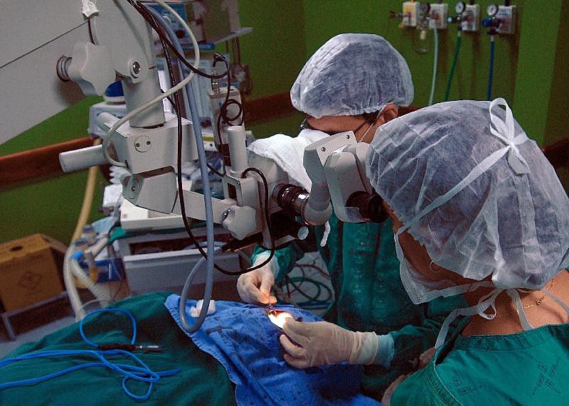 Cerca de 40 mil pacientes dependem da medicação para não perder o órgão ou a própria vida; outros 40 mil para fazer o transplante
