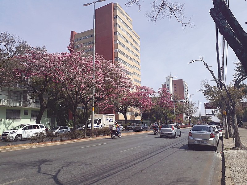 Dia 23 de setembro marca o início da primavera deste ano aqui no lado sul de nosso querido planetinha!