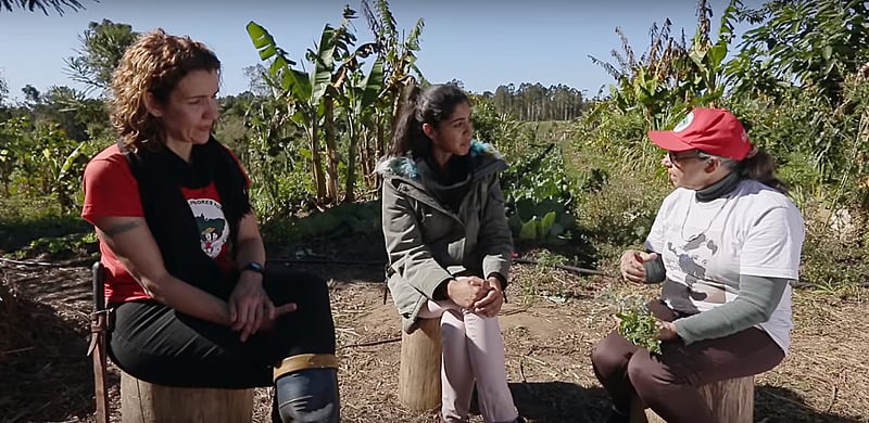 Priscila e Dona Maria vivem no assentamento Contestado, que abriga mais de 100 famílias dedicadas à produção de alimentos saudáveis