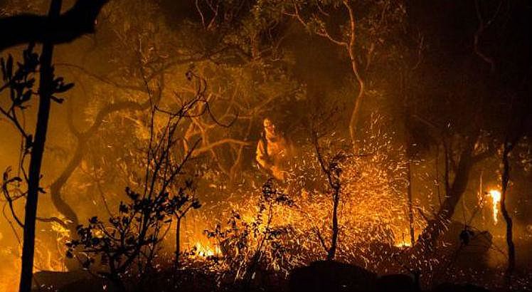 Incêndio teve início no dia 17 deste mês