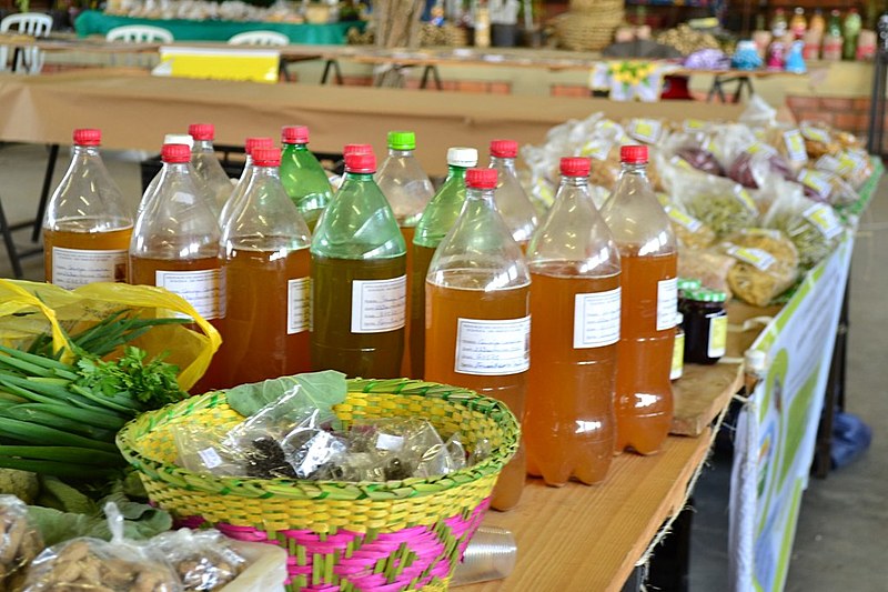 Evento também conta com Feira da Agrobiodiversidade Camponesa e Popular e Culinária da Terra.