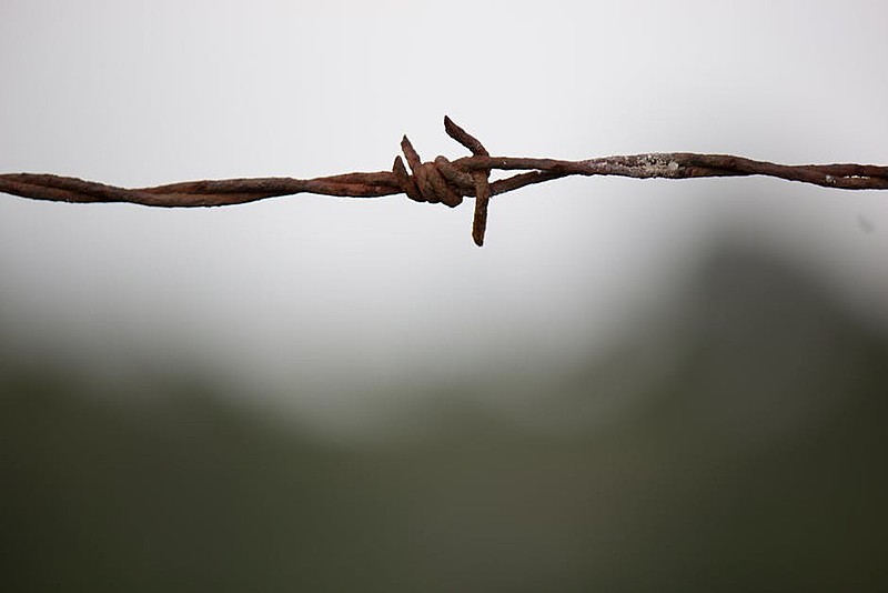 "Uma cidade comandada pela política da violência, pistolagem e xenofobia, há tantos anos, era cenário perfeito ao conflito"
