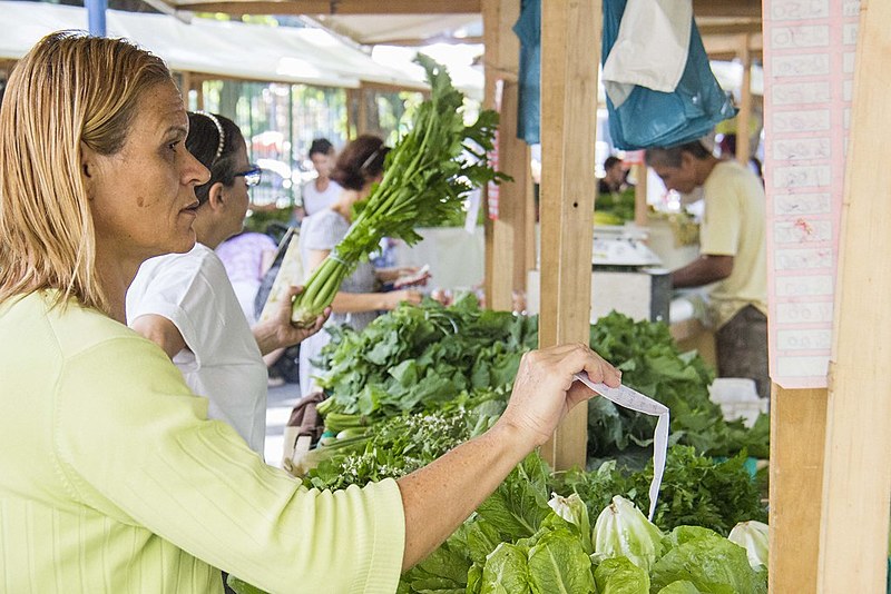 Feiras agroecológicas facilitam acesso à alimentação saudável