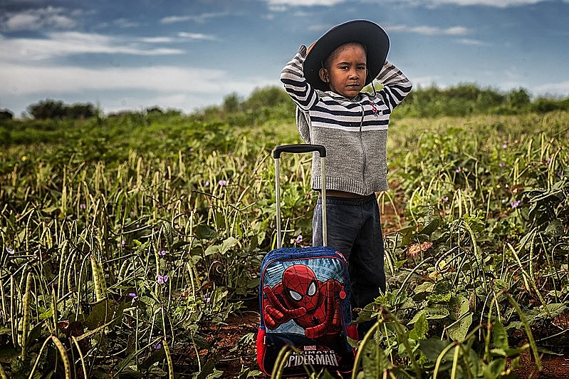 Cerca de 70% dos alimentos na mesa do brasileiro vêm da agricultura familiar, financiada em grande medida pelo Banco do Brasil