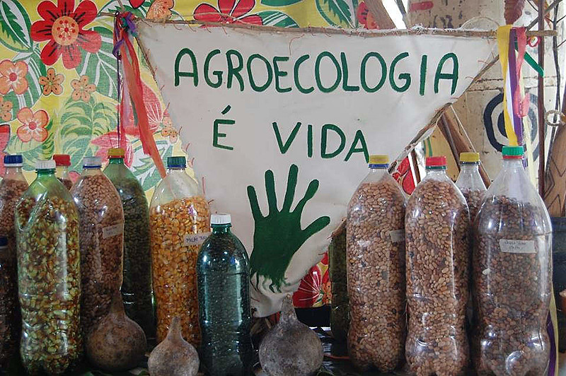 O MST mantém cerca de 20 cursos em nível nacional para formar agentes em agroecologia