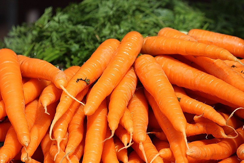 Cenoura é rica em antioxidante betacaroteno