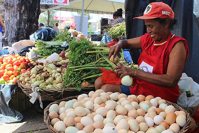 Agricultura familiar leva alimento às escolas brasileiras